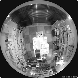 Cámara de Seguridad Wifi Ezviz 3K Ojo de Pez 360° con IA